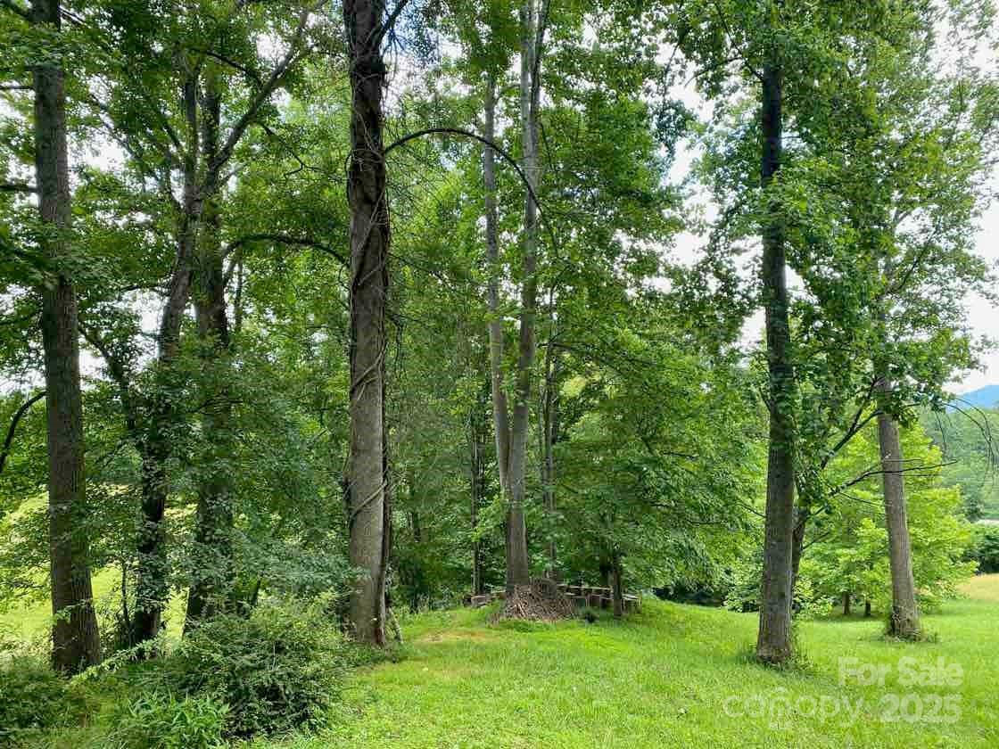 48 Sweet Fern Parkway Asheville NC 28804