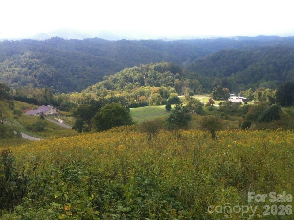 0000 Sunset Mountain Bakersville NC 28705
