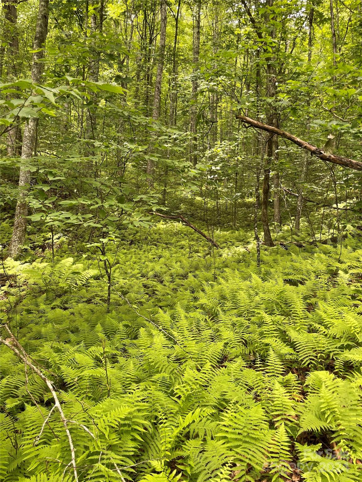 25 Rainbow Trout Drive Tuckasegee NC 28783