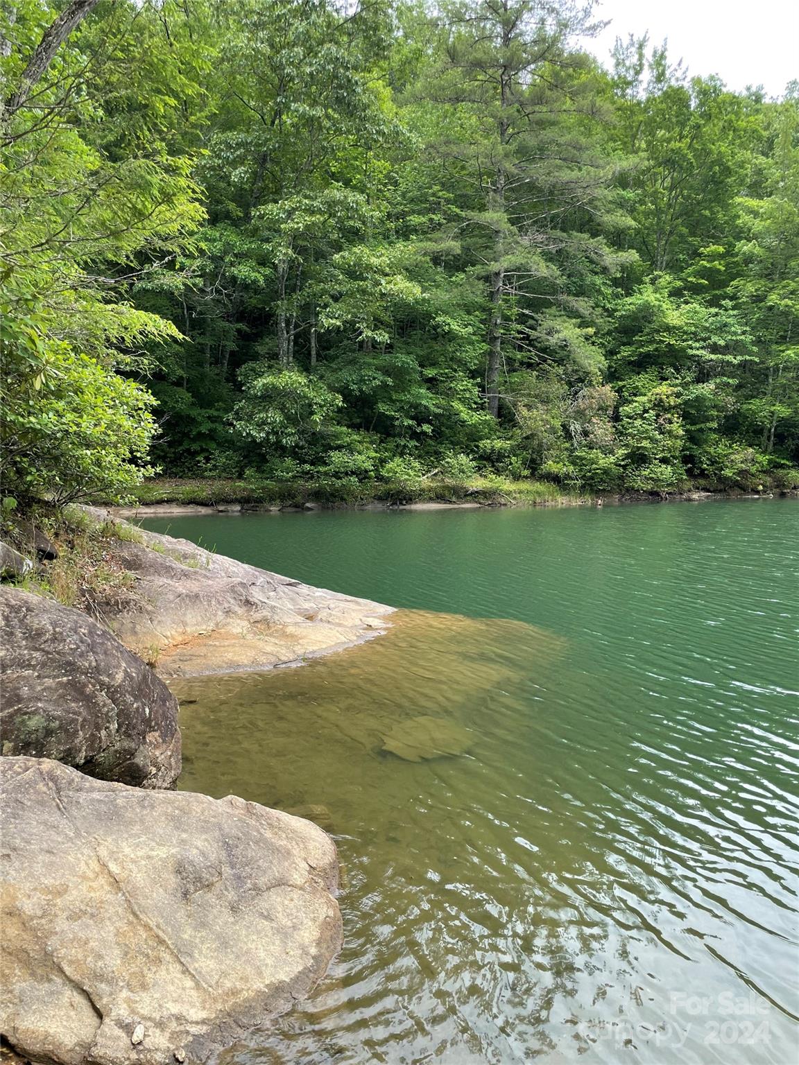 25 Rainbow Trout Drive Tuckasegee NC 28783