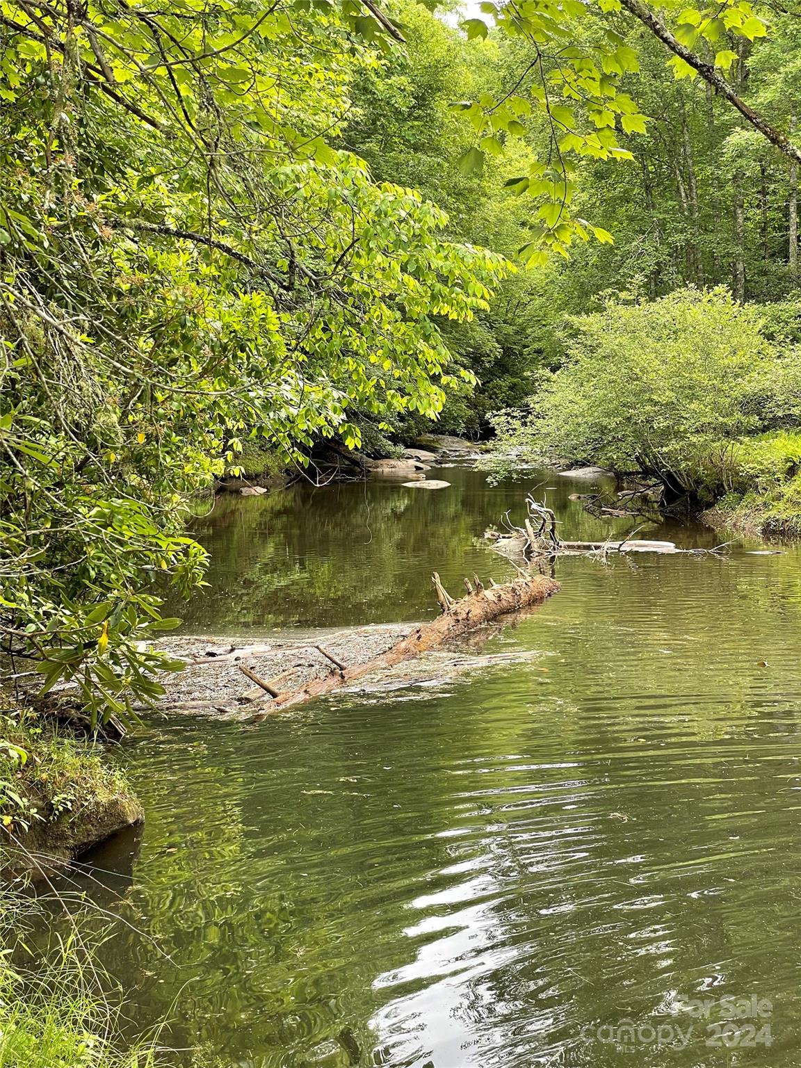 25 Rainbow Trout Drive Tuckasegee NC 28783