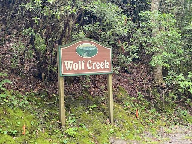 25 Rainbow Trout Drive Tuckasegee NC 28783