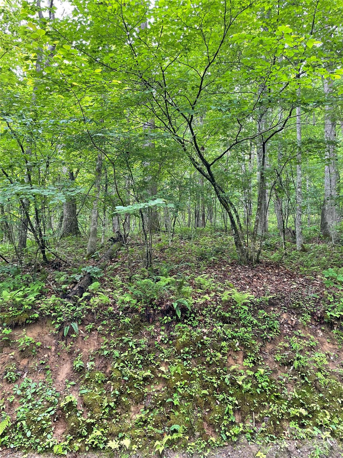 25 Rainbow Trout Drive Tuckasegee NC 28783
