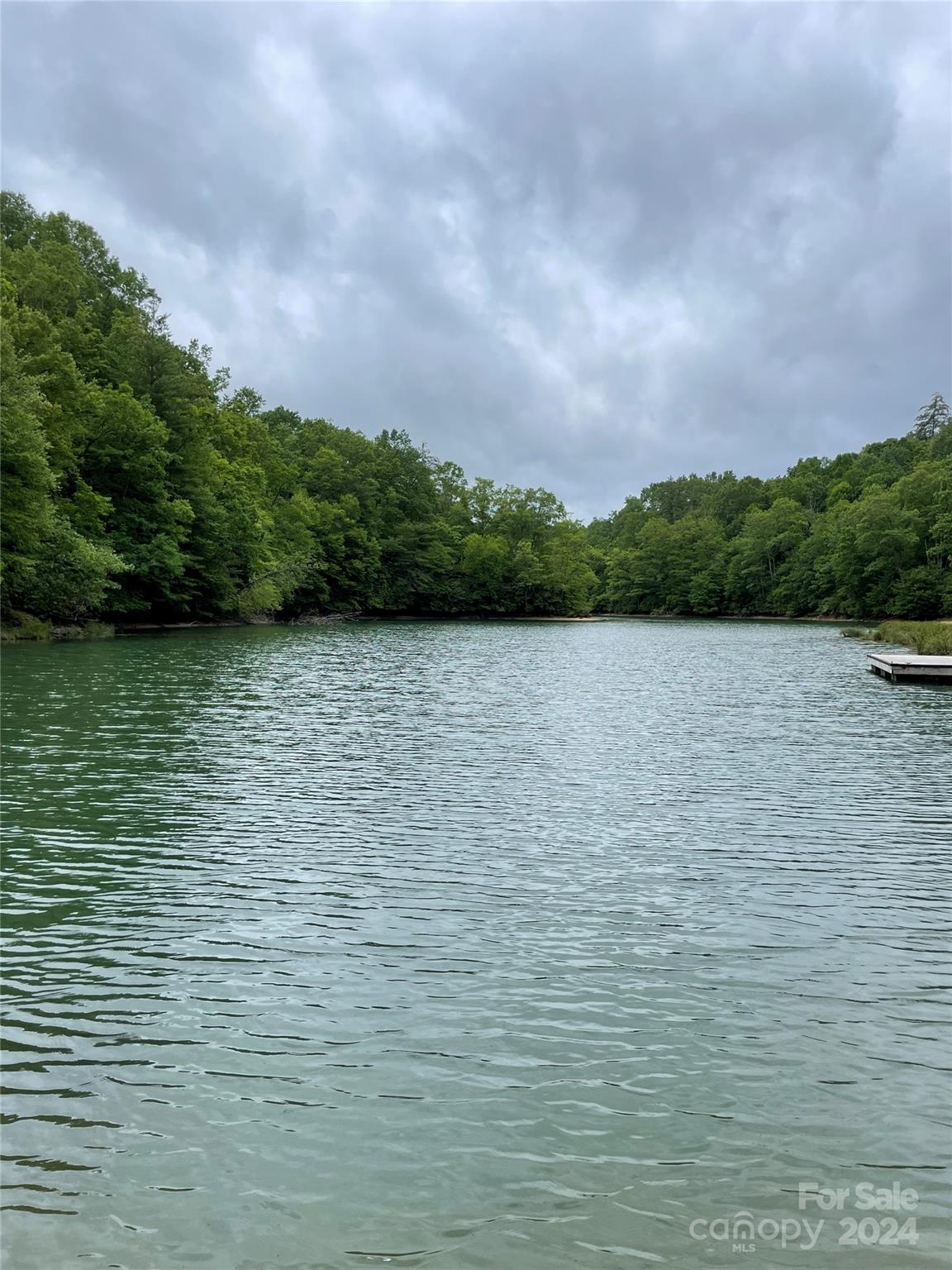 25 Rainbow Trout Drive Tuckasegee NC 28783