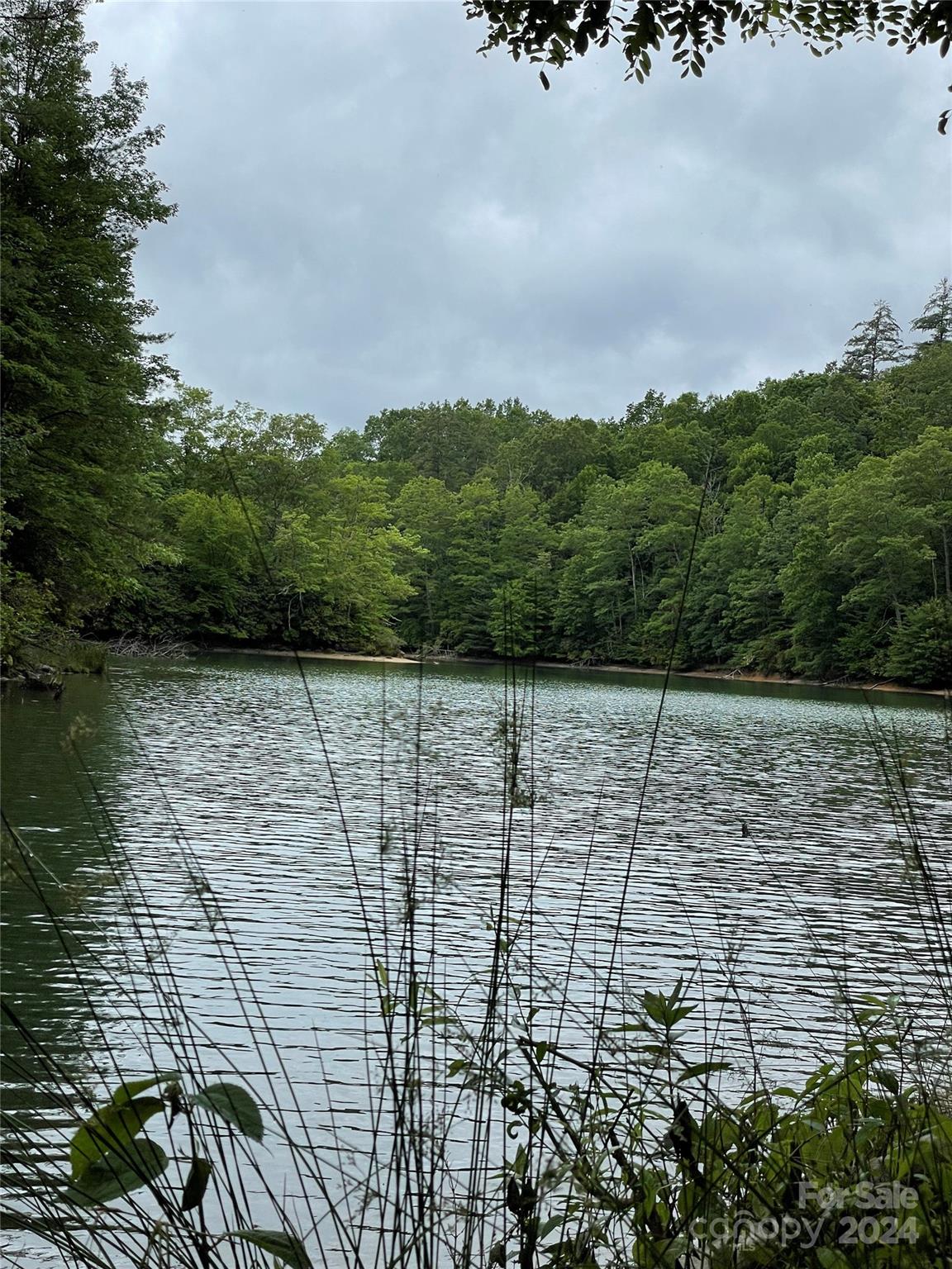 25 Rainbow Trout Drive Tuckasegee NC 28783