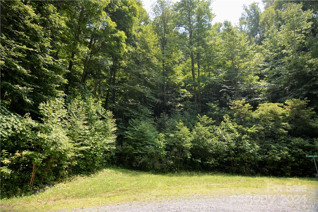 00 Little Pond Pass Mars Hill NC 28754