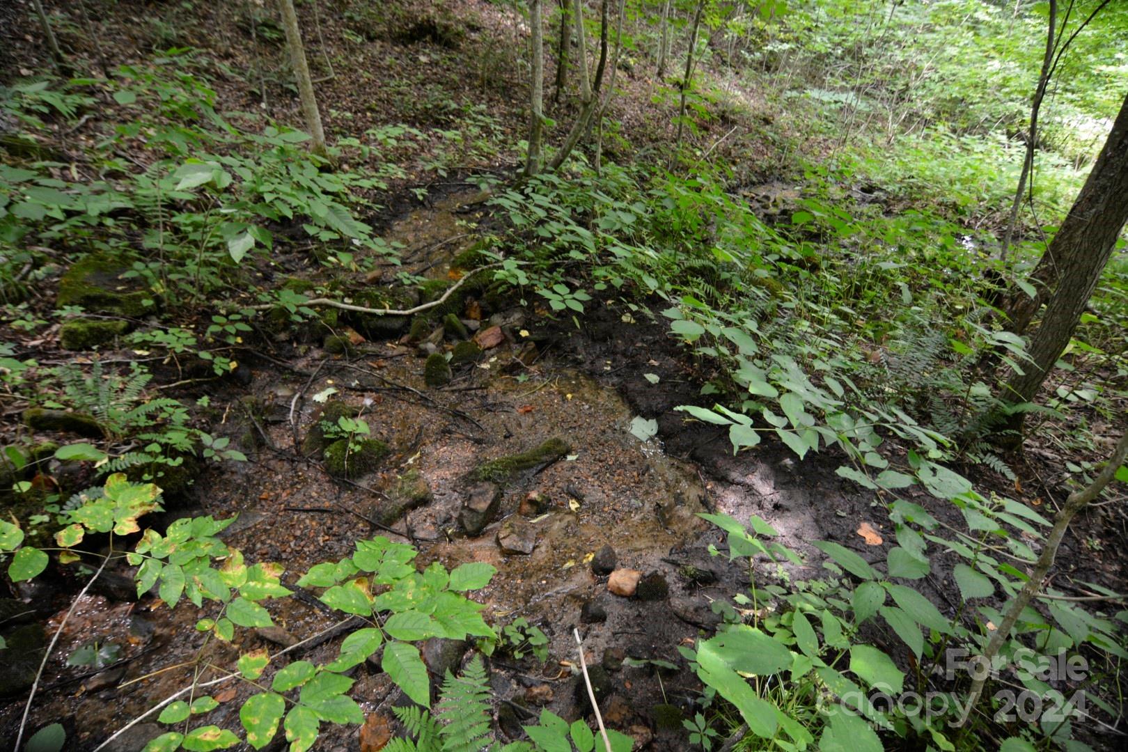 00 Little Pond Pass Mars Hill NC 28754