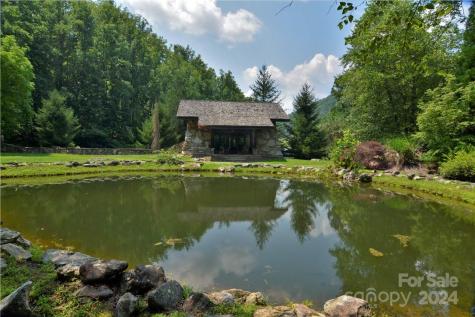 00 Little Pond Pass Mars Hill NC 28754