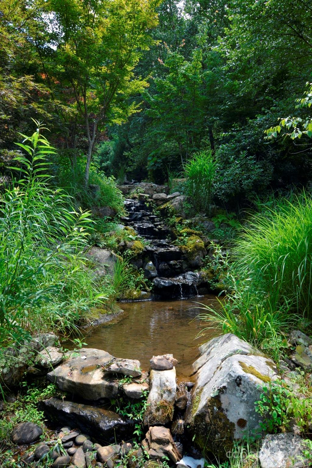 00 Little Pond Pass Mars Hill NC 28754