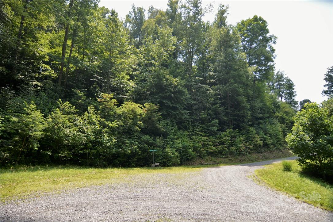 00 Little Pond Pass Mars Hill NC 28754
