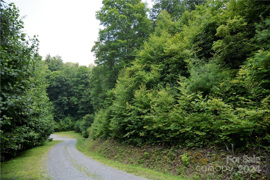 00 Little Pond Pass Mars Hill NC 28754