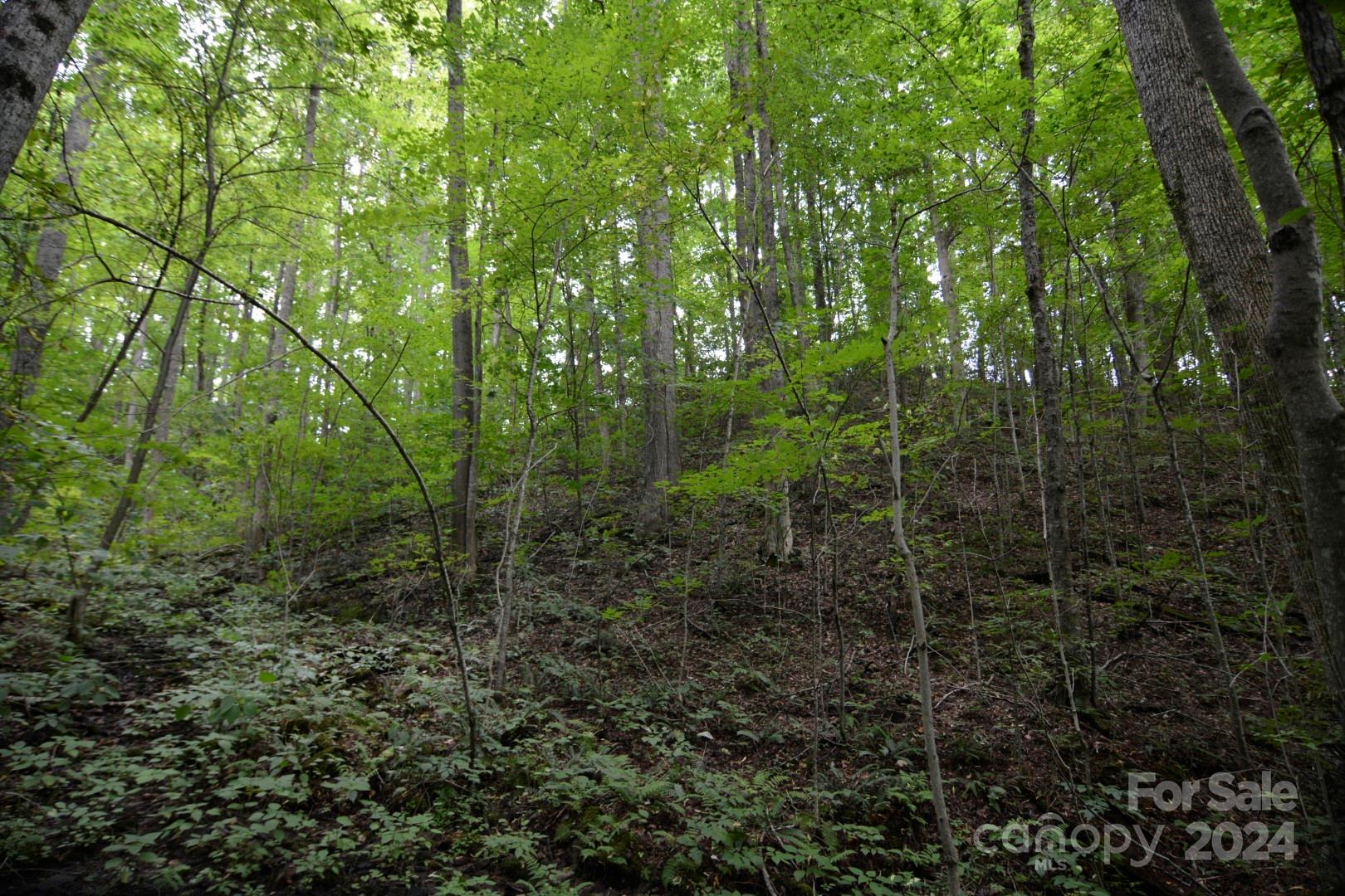 00 Little Pond Pass Mars Hill NC 28754