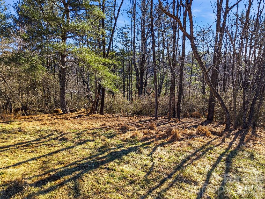 999 Ray Hill Road Mills River NC 28759
