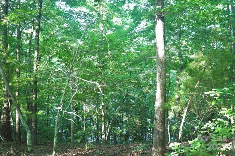 0 Parkway North Mill Spring NC 28756
