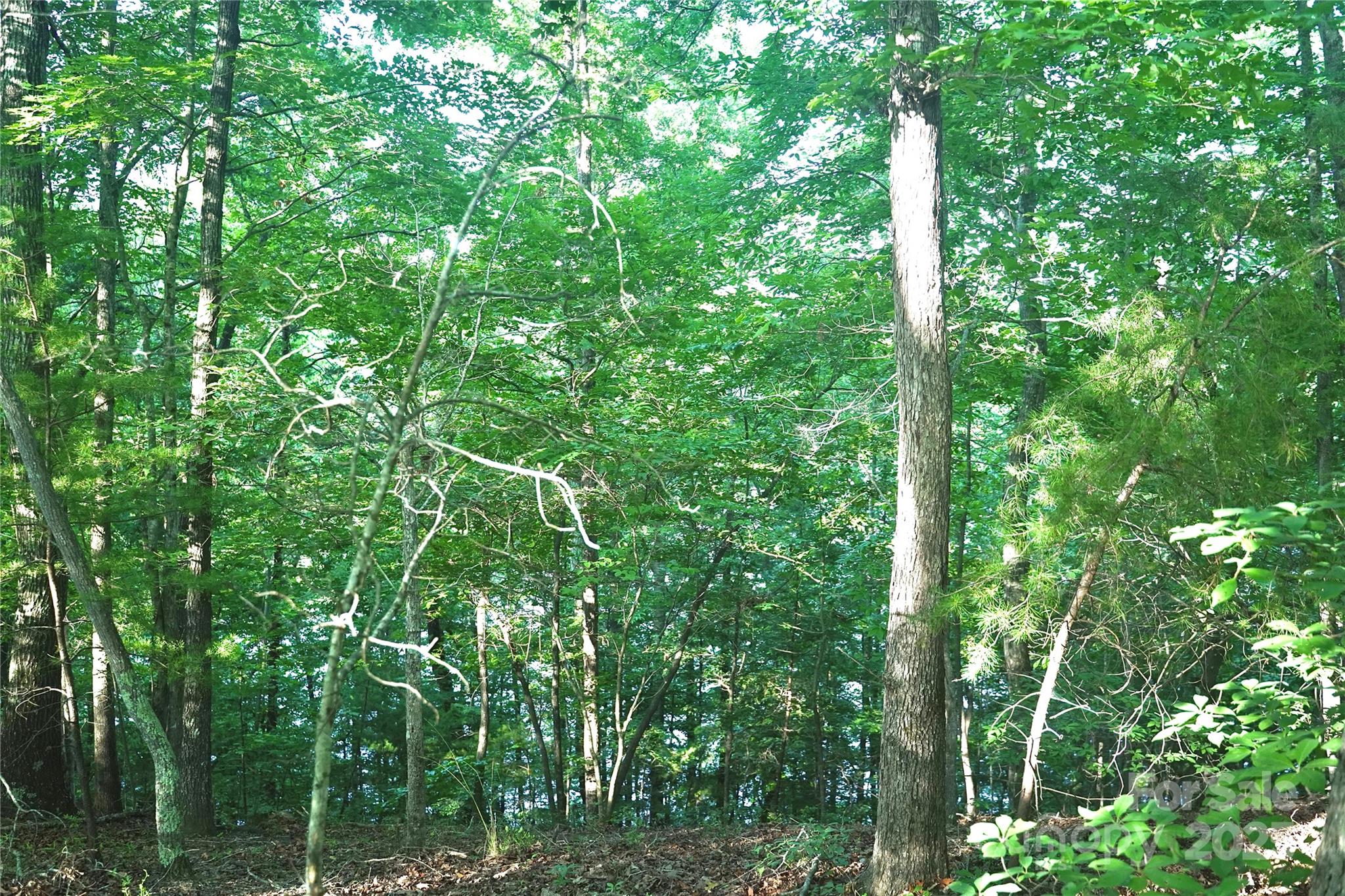 0 Parkway North Mill Spring NC 28756