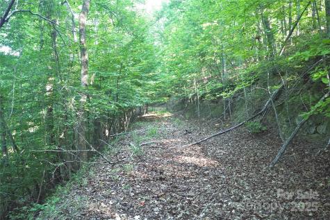 0 Parkway North Mill Spring NC 28756