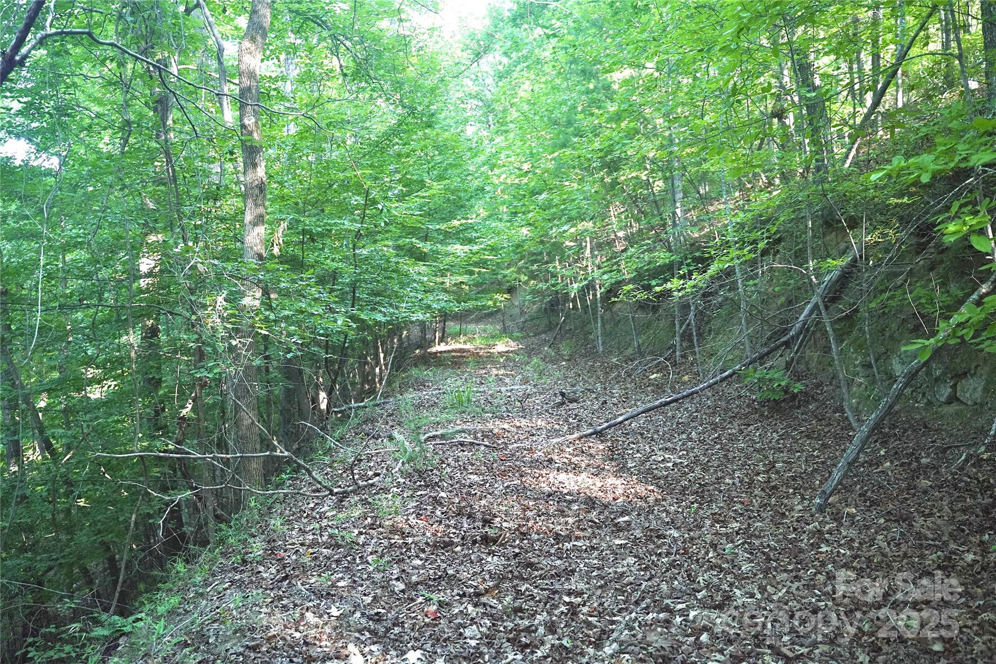 0 Parkway North Mill Spring NC 28756