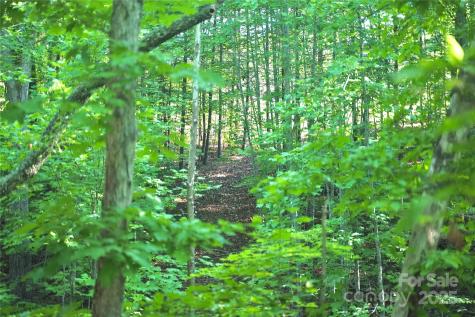 0 Parkway North Mill Spring NC 28756
