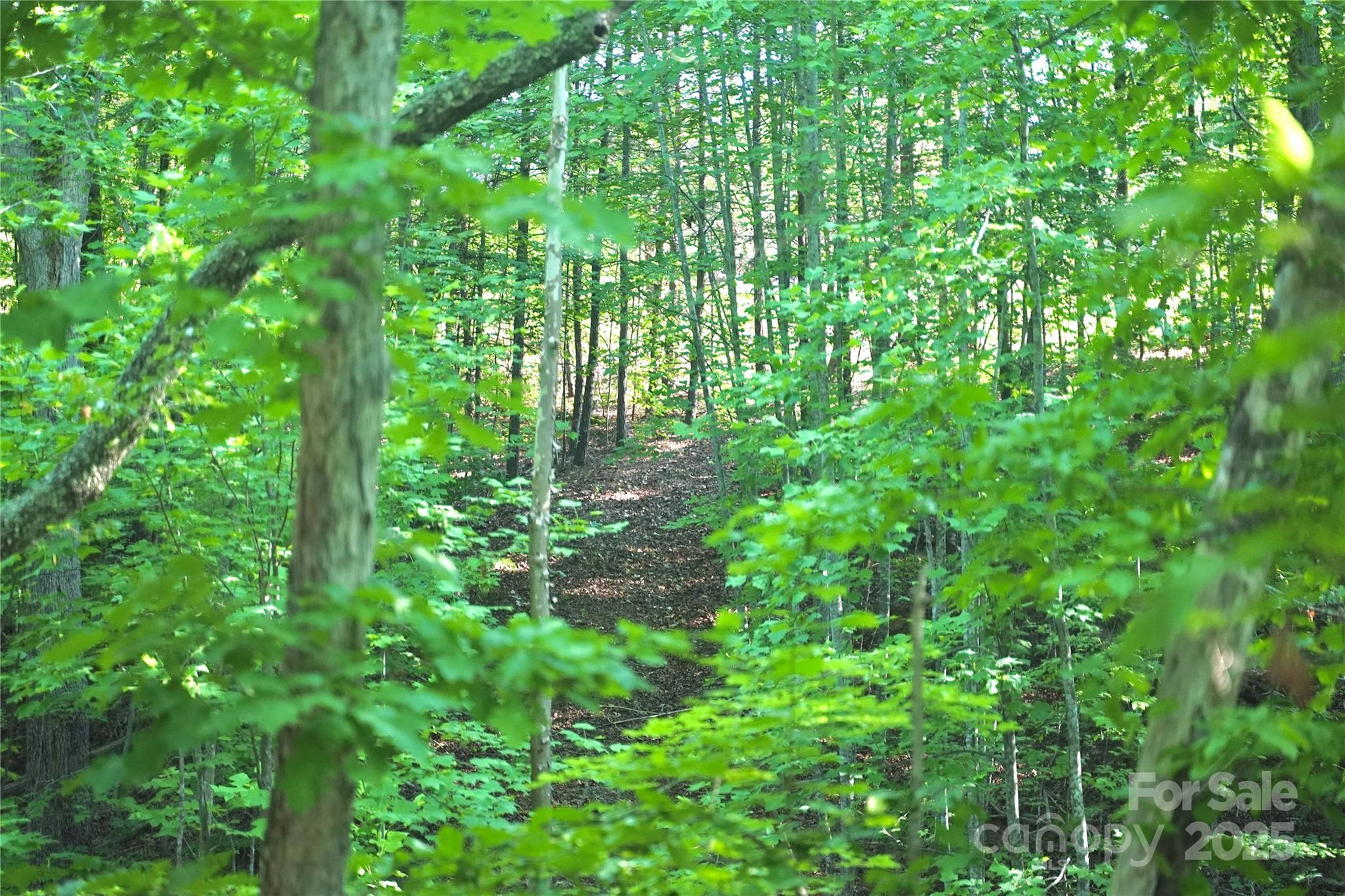 0 Parkway North Mill Spring NC 28756