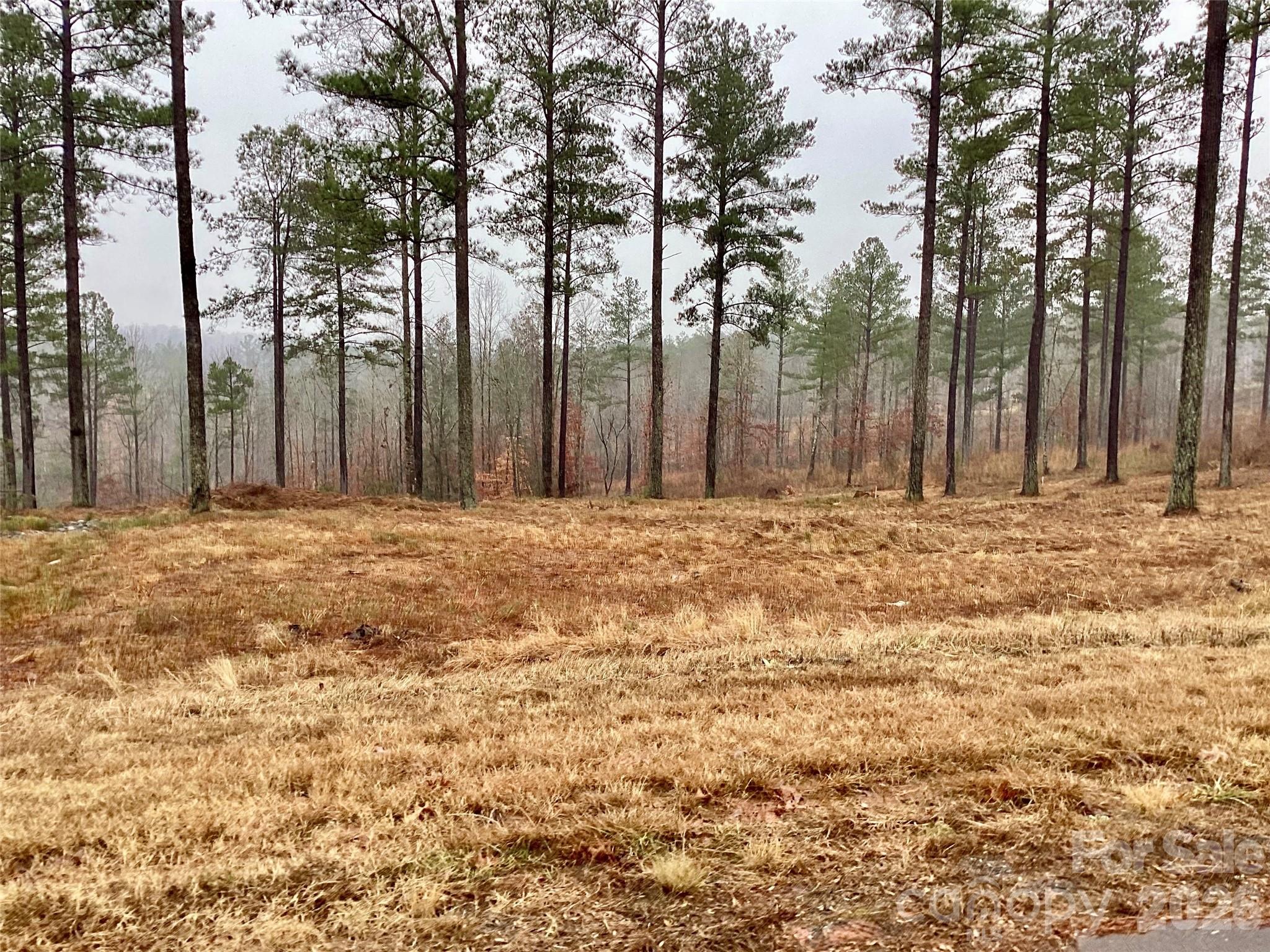 1838 Jumping Run Connelly Springs NC 28612