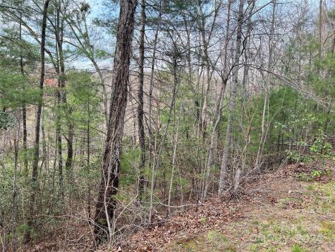 3114 Mountain Laurel Drive Lenoir NC 28645