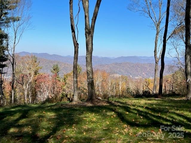 Tbd East Garden Trail Hendersonville NC 28792