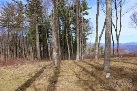 Tbd East Garden Trail Hendersonville NC 28792