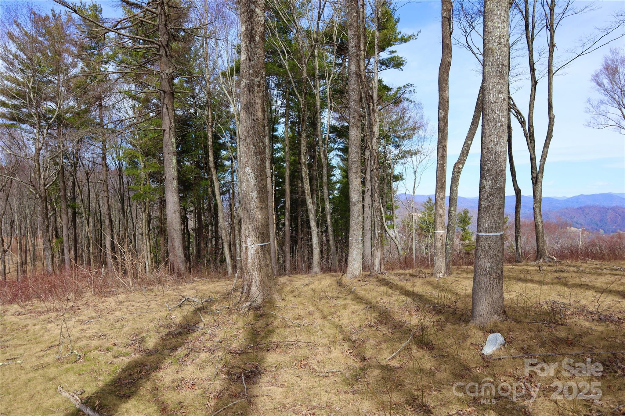 Tbd East Garden Trail Hendersonville NC 28792