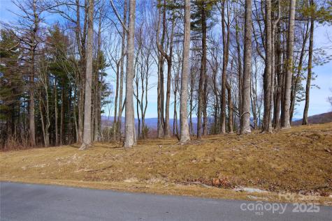 Tbd East Garden Trail Hendersonville NC 28792