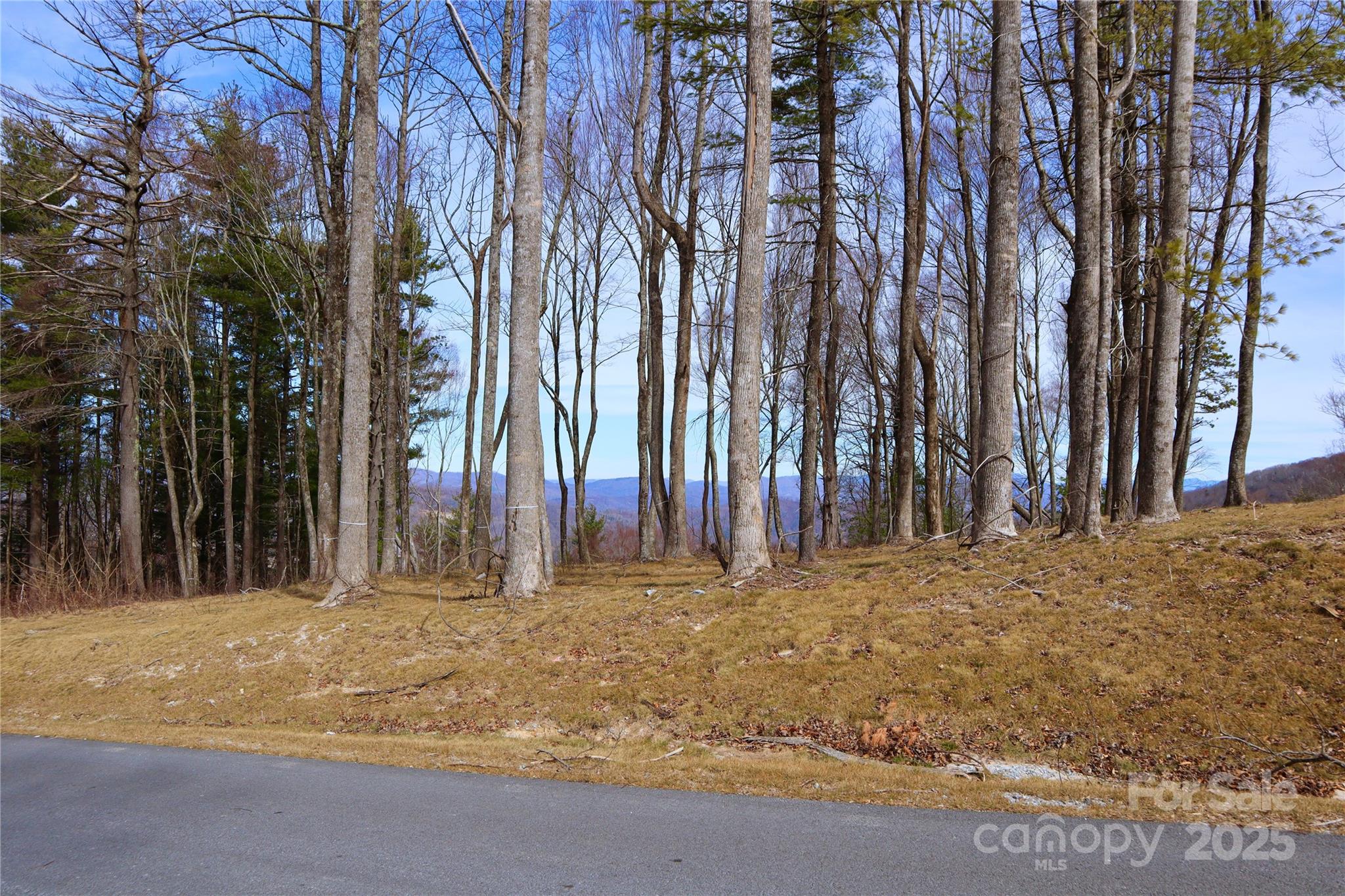 Tbd East Garden Trail Hendersonville NC 28792