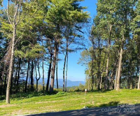 Tbd East Garden Trail Hendersonville NC 28792