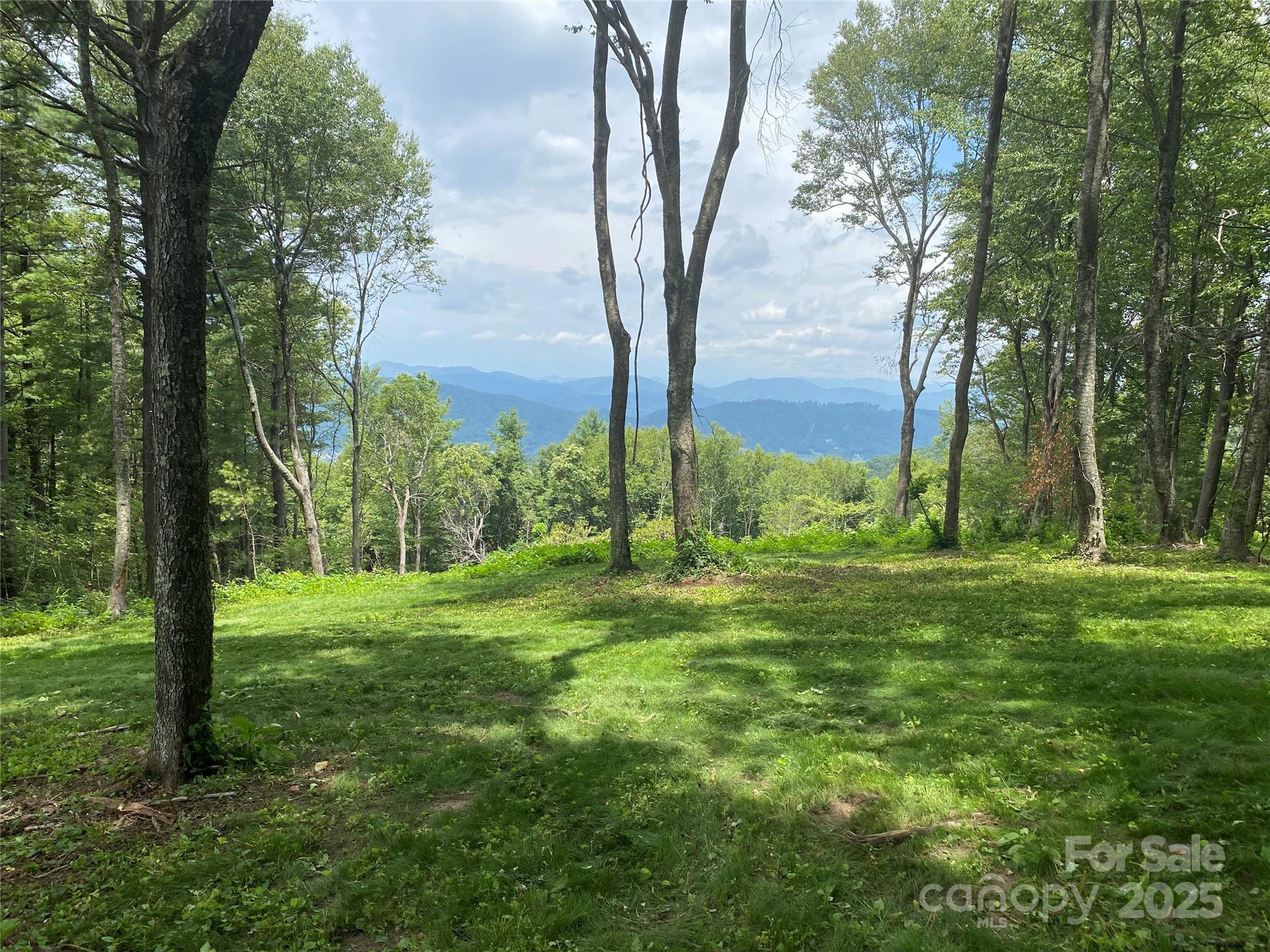 Tbd East Garden Trail Hendersonville NC 28792