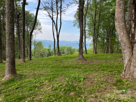 Tbd East Garden Trail Hendersonville NC 28792