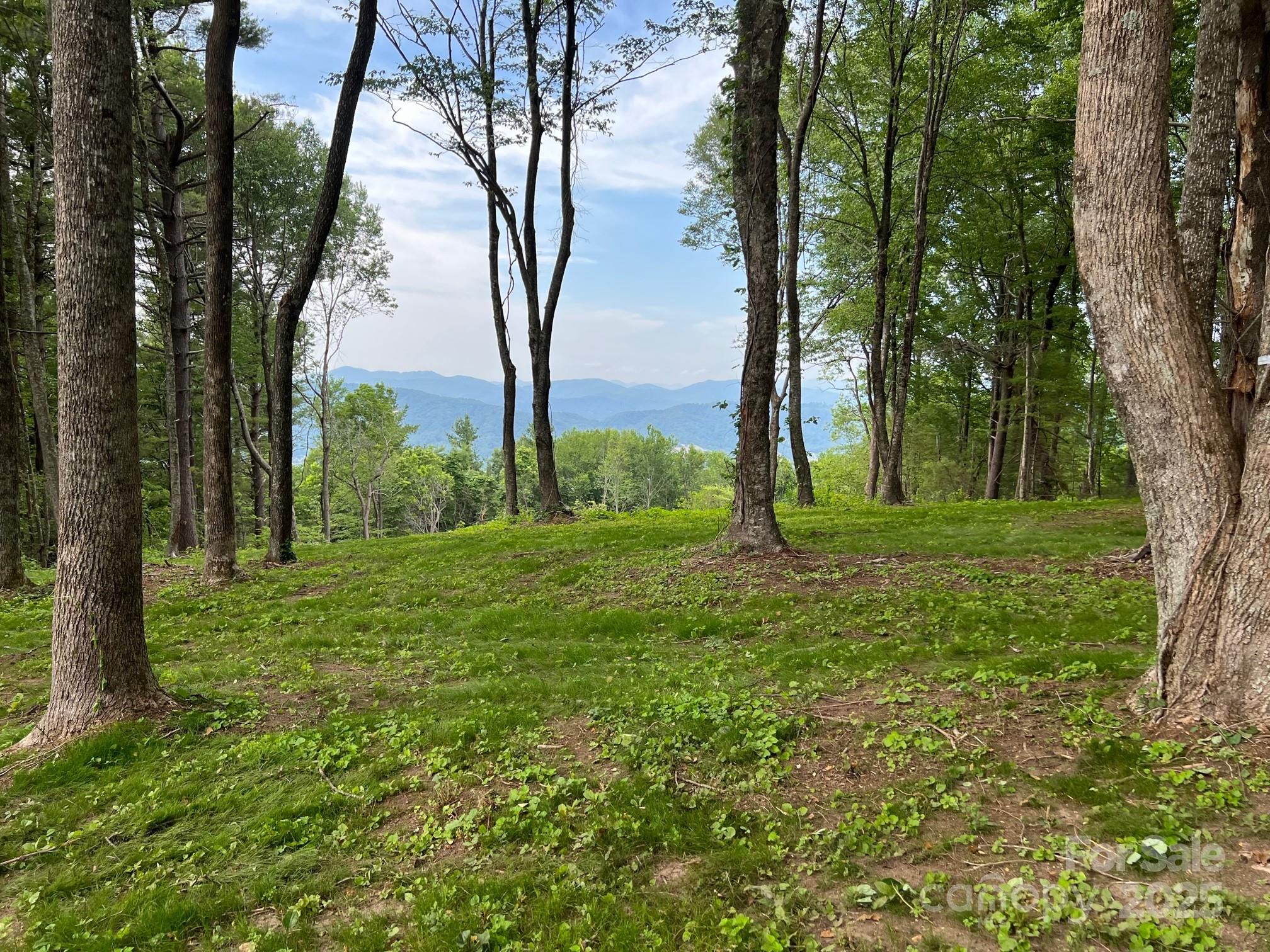 Tbd East Garden Trail Hendersonville NC 28792