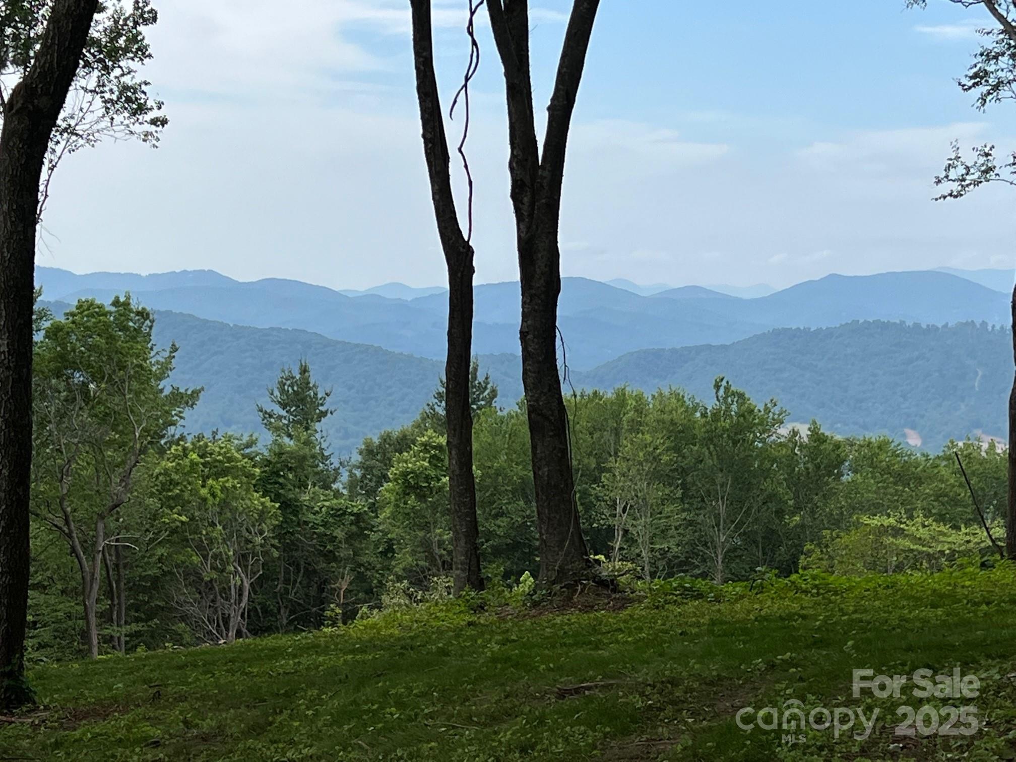 Tbd East Garden Trail Hendersonville NC 28792
