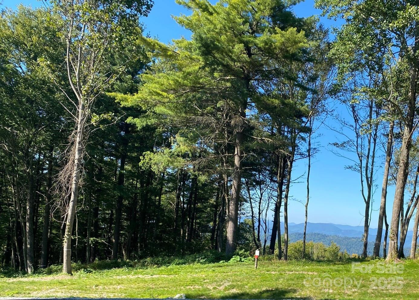 Tbd East Garden Trail Hendersonville NC 28792