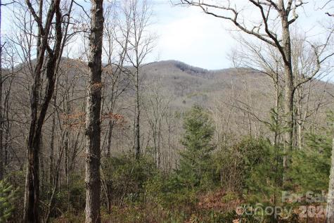 Lots 82 & 83 Waterdance Drive Tuckasegee NC 28783