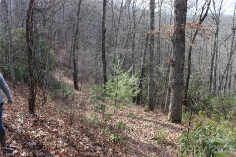 Lots 82 & 83 Waterdance Drive Tuckasegee NC 28783