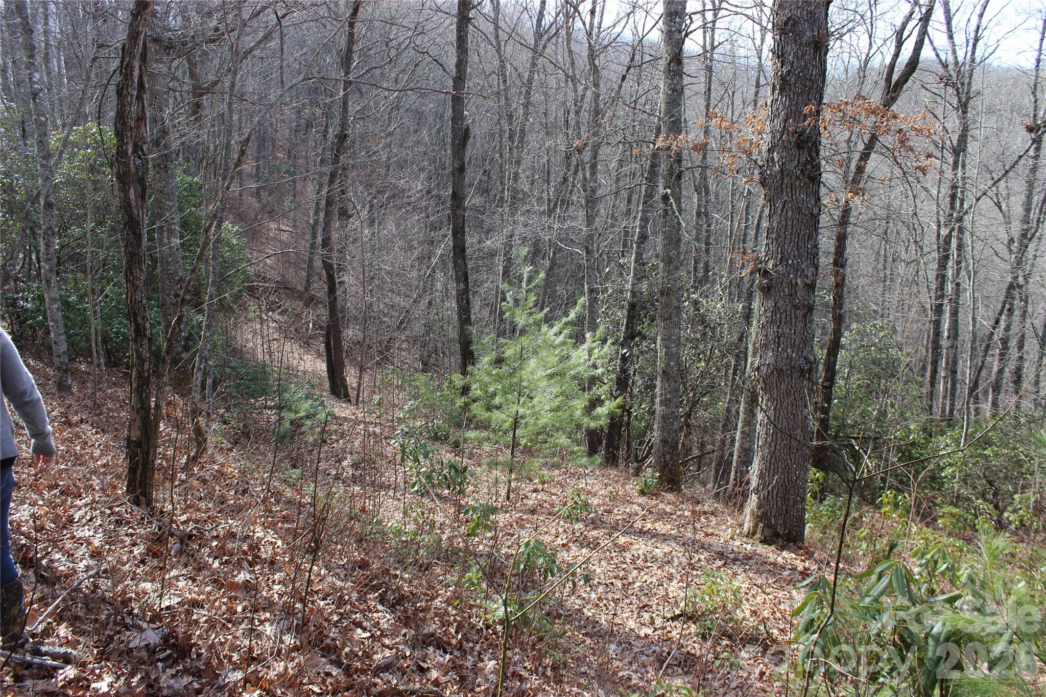 Lots 82 & 83 Waterdance Drive Tuckasegee NC 28783