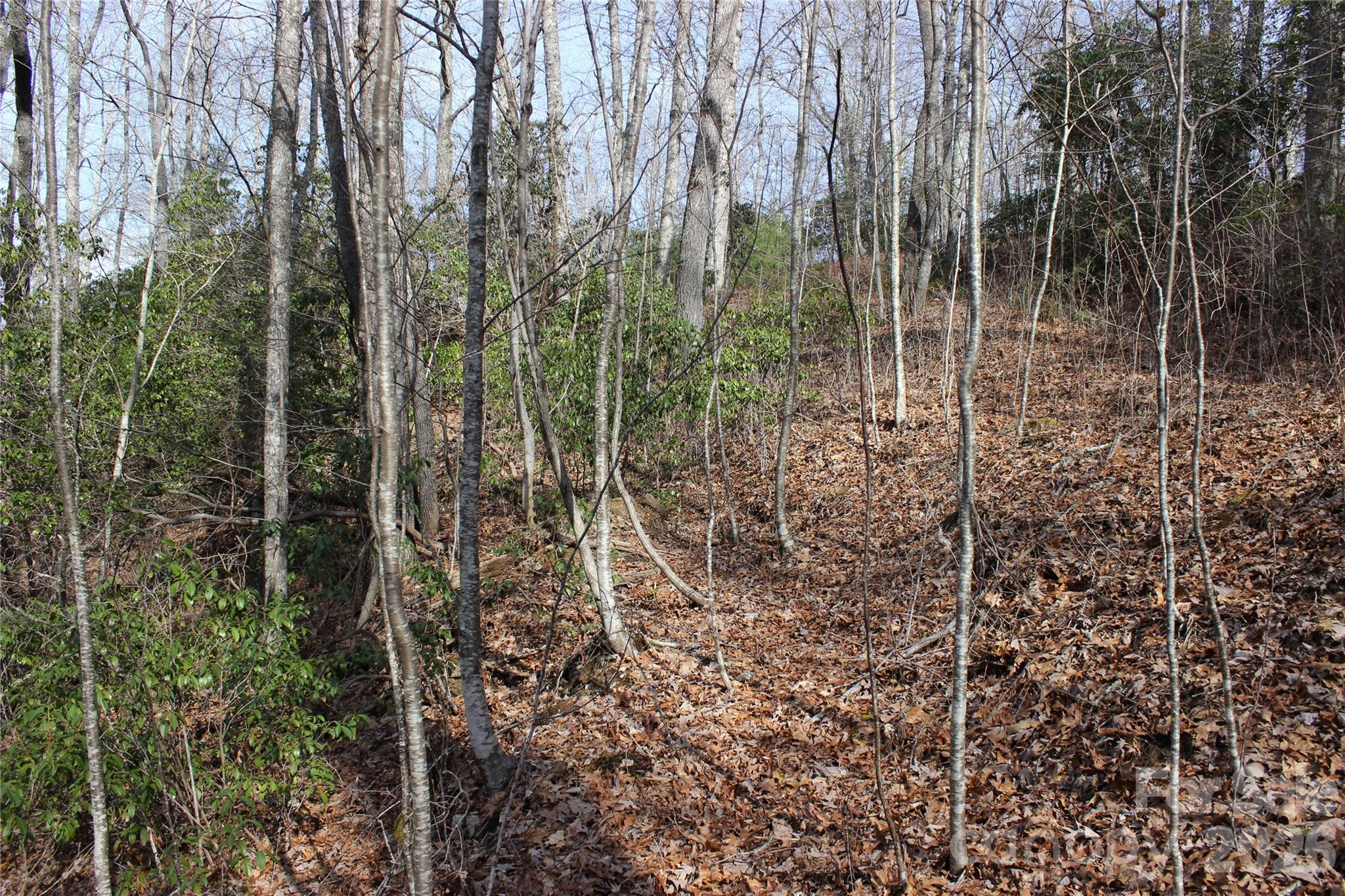 Lots 82 & 83 Waterdance Drive Tuckasegee NC 28783