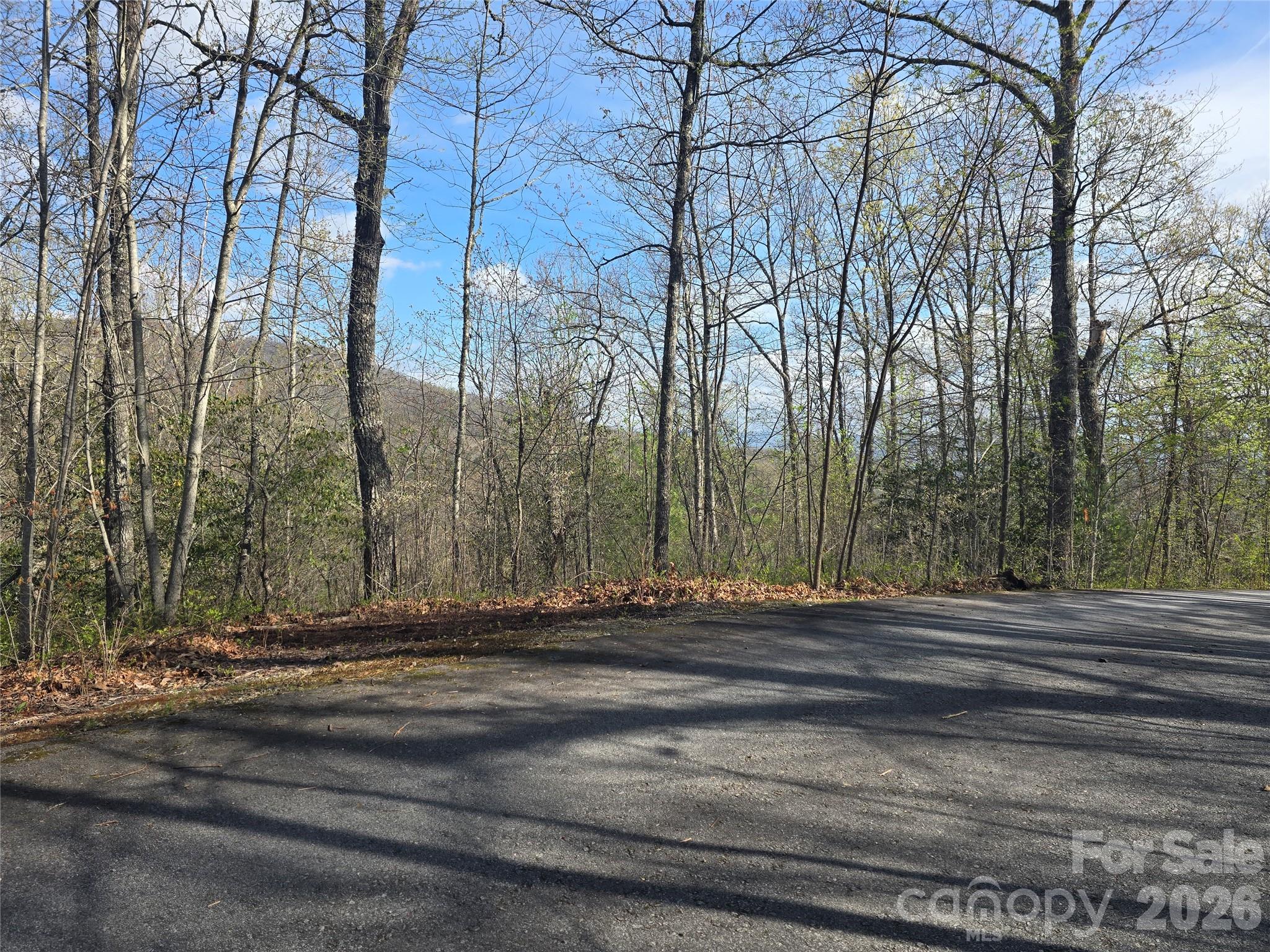 Lots 82 & 83 Waterdance Drive Tuckasegee NC 28783