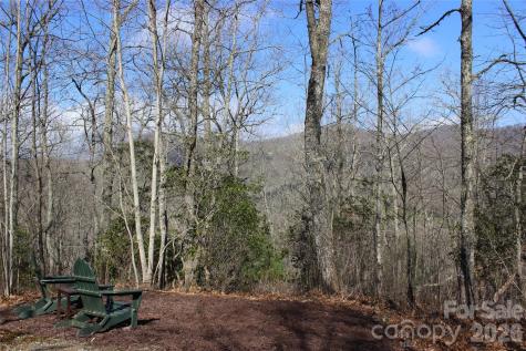 Lots 82 & 83 Waterdance Drive Tuckasegee NC 28783