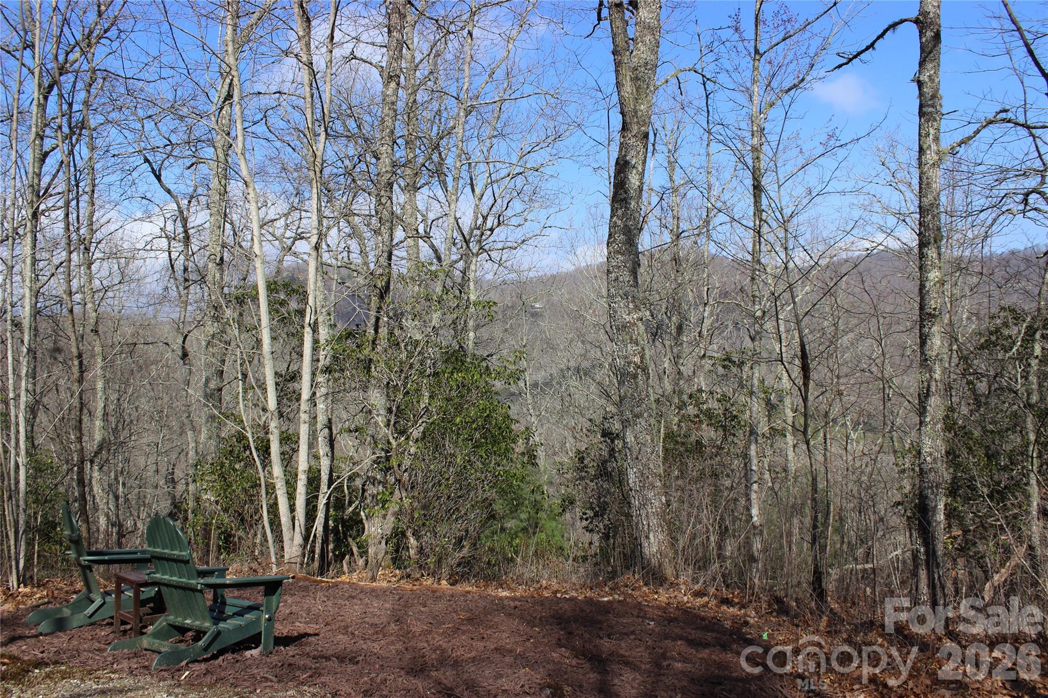 Lots 82 & 83 Waterdance Drive Tuckasegee NC 28783