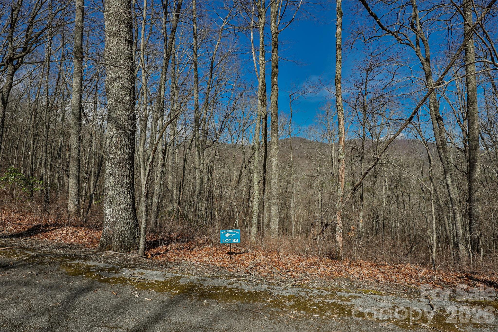 Lots 82 & 83 Waterdance Drive Tuckasegee NC 28783