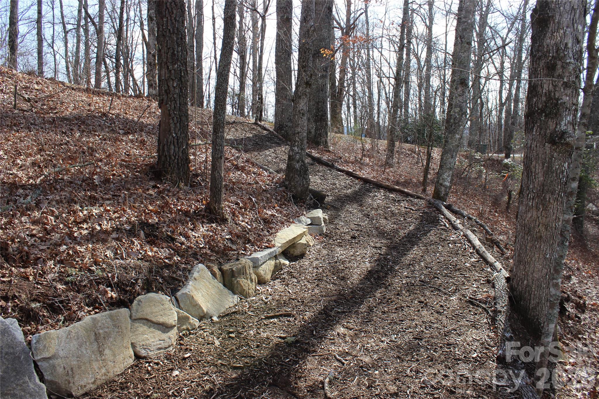 Lots 82 & 83 Waterdance Drive Tuckasegee NC 28783