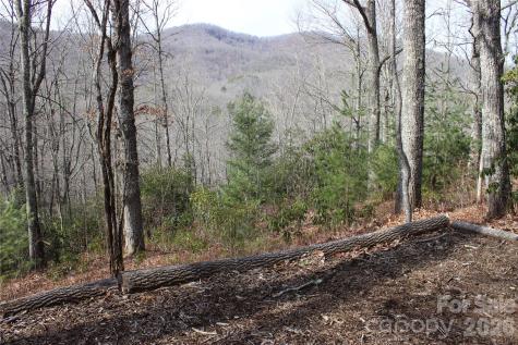 Lots 82 & 83 Waterdance Drive Tuckasegee NC 28783