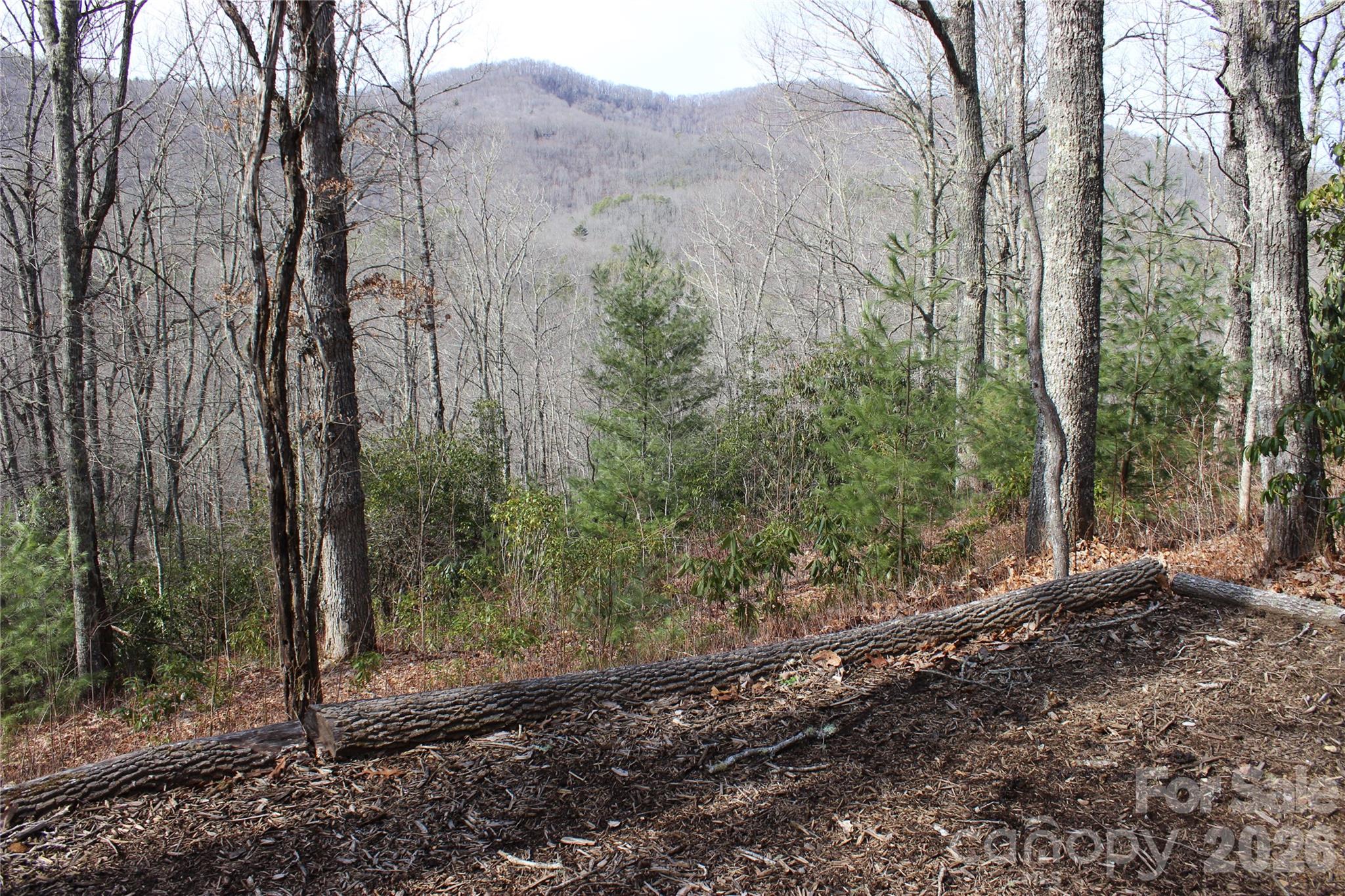Lots 82 & 83 Waterdance Drive Tuckasegee NC 28783
