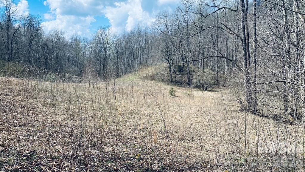 5 Brasstown Road Cullowhee NC 28723