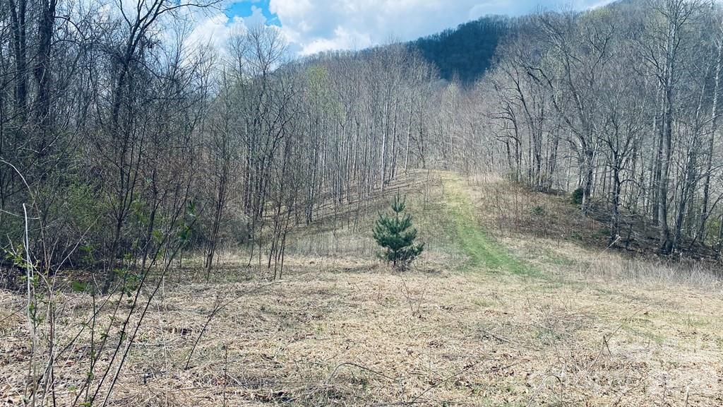 5 Brasstown Road Cullowhee NC 28723