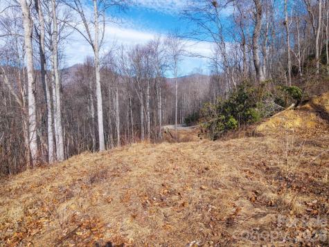 000 Bee Tree Road Swannanoa NC 28778